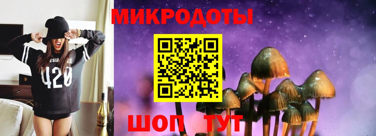 Галлюциногенные грибы Psilocybe Амурск