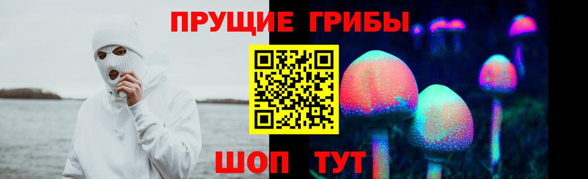 Псилоцибиновые грибы ЛСД  Галлюциногенные грибы прущие грибы  купить  сайты  Амурск 